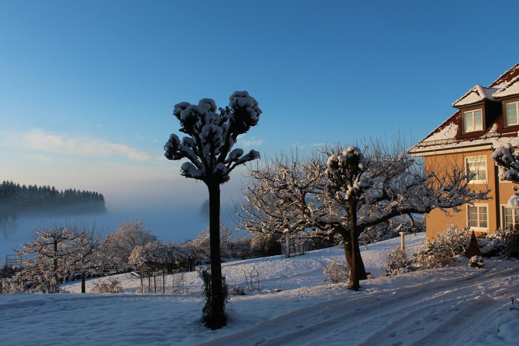 Gaestehaus Schloss Kronburg Екстер'єр фото